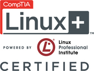 Becoming a CompTIA Certified IT Professional Is Easy Its also the best way to - photo 2