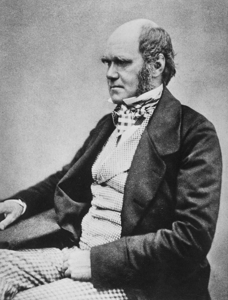 To Charles Darwin 1809 1882 the towering genius whose theory of evolution is - photo 2