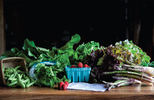 One share from Elmwood Stock Farms spring CSA basket is bountiful Sarah Jane - photo 5