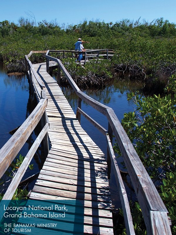 Fodors Bahamas - photo 8