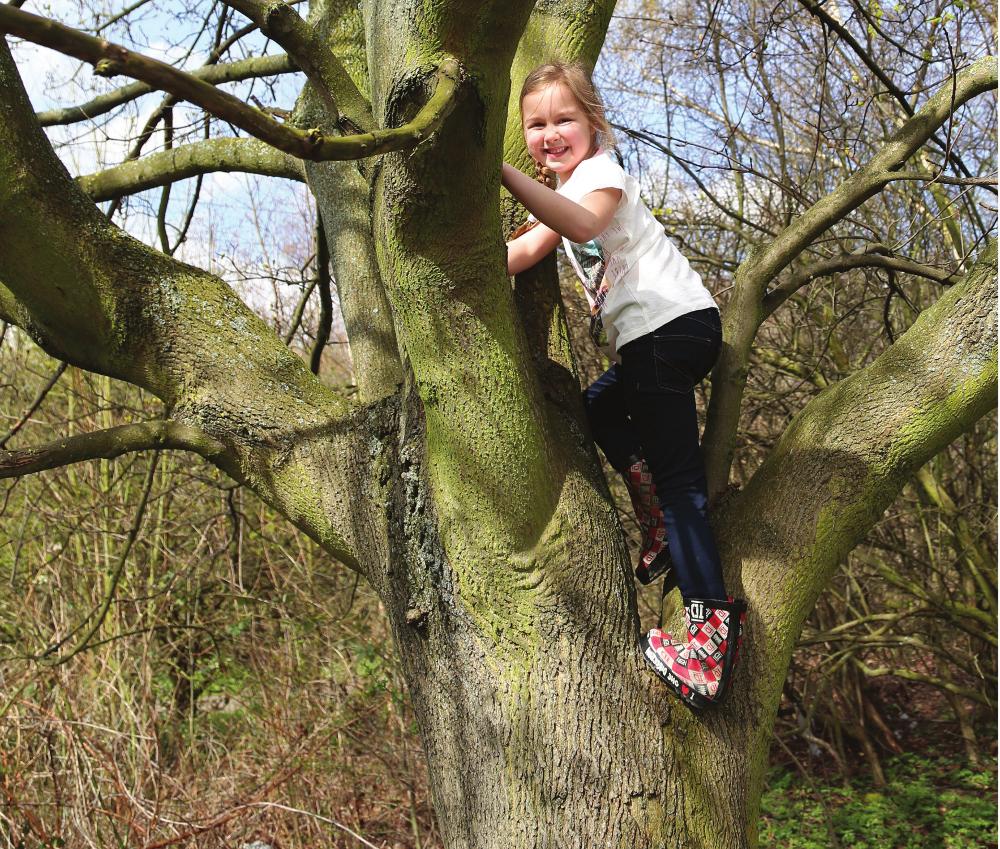 Most of my class are very confident at climbing trees One day I had a new - photo 1