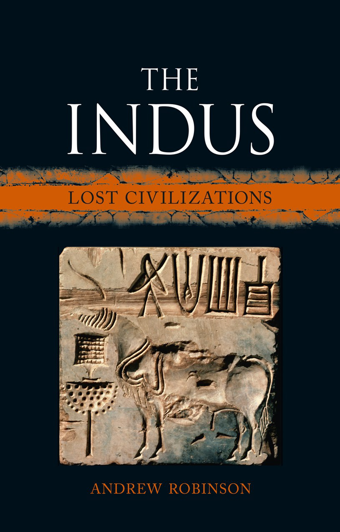 The Indus lost civilizations - image 1