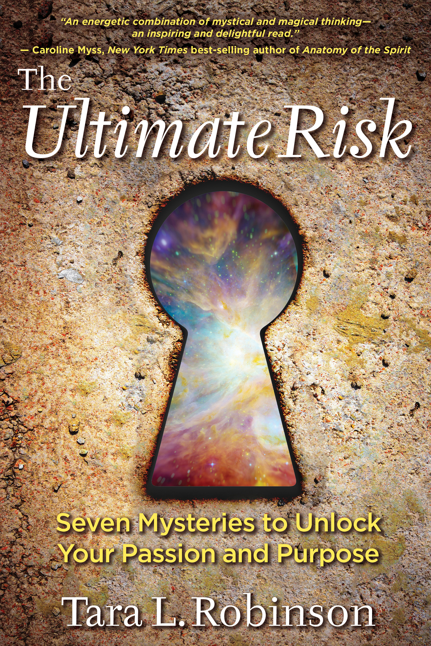 Praise for The Ultimate Risk The Ultimate Risk is an energetic combination - photo 1