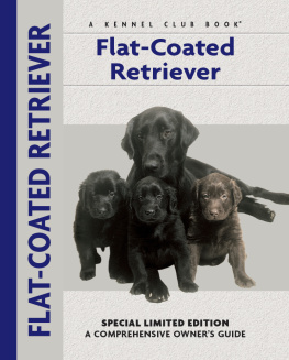 Roche Alice Flat-Coated Retriever