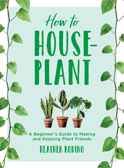 How to houseplant a beginners guide to making and keeping plant friends - image 1