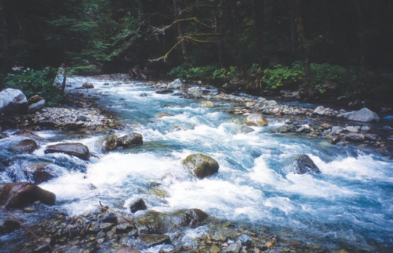 South Fork Cascade River DAY HIKING North Cascades mount bakermountain - photo 12