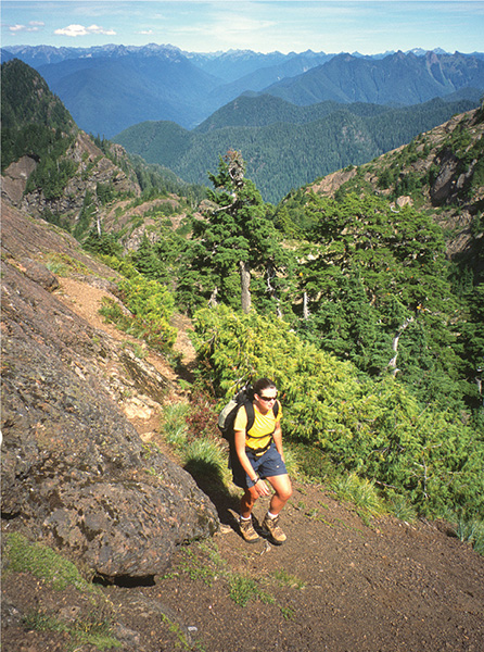 Hiker approaching the summit of Colonel Bob Peak on the Petes Creek Trail - photo 8