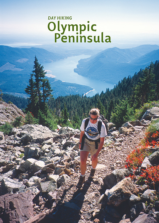 Hiker ascending Mount Ellinor-Lake Cushman in background Penstemon growing - photo 2
