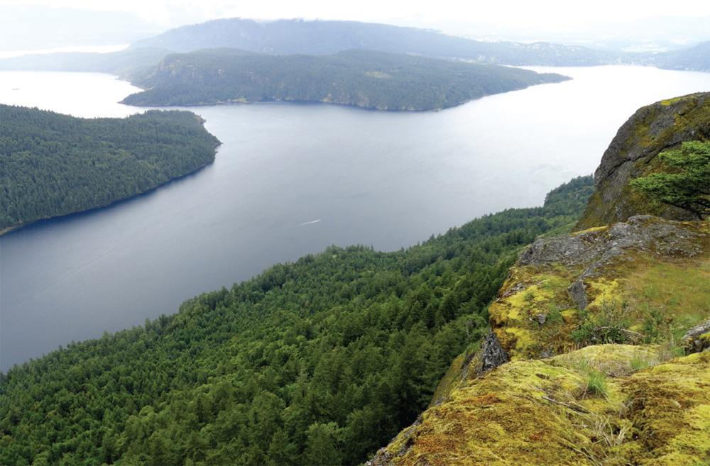 Burgoyne Bay and Sansum Narrows from Mount Maxwell DAY HIKING The San - photo 12