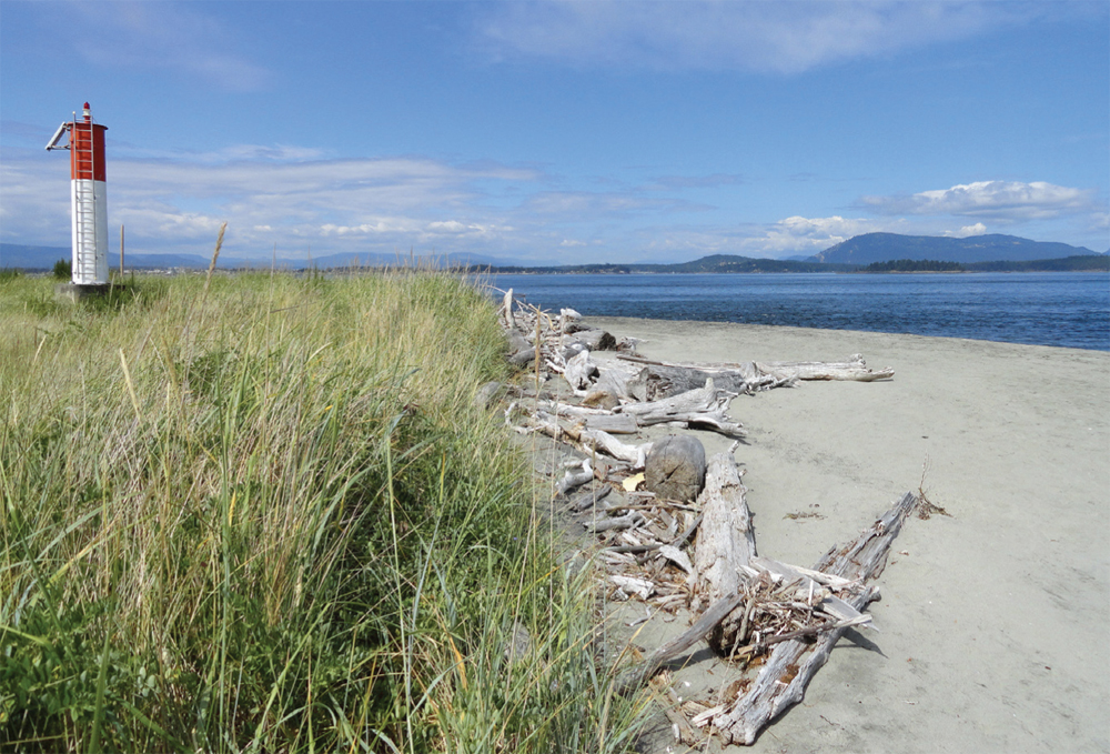 Wide sandy beach at the top of Sydney Spit Burgoyne Bay and Sansum Narrows - photo 11