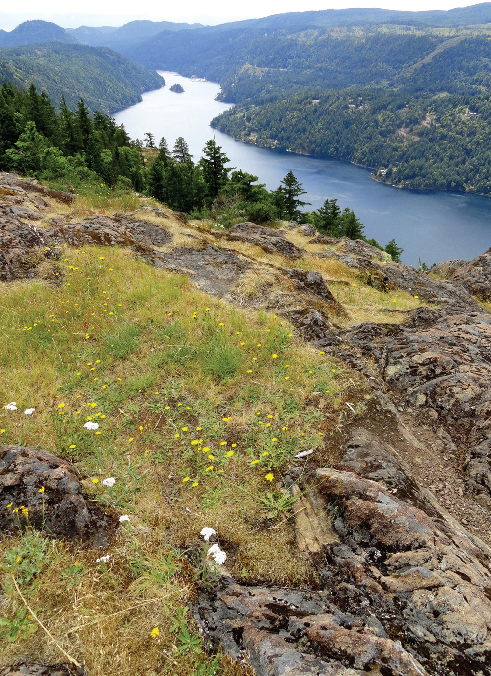 DAY HIKING The San Juans and Gulf Islands saanich peninsula anacortes - photo 13