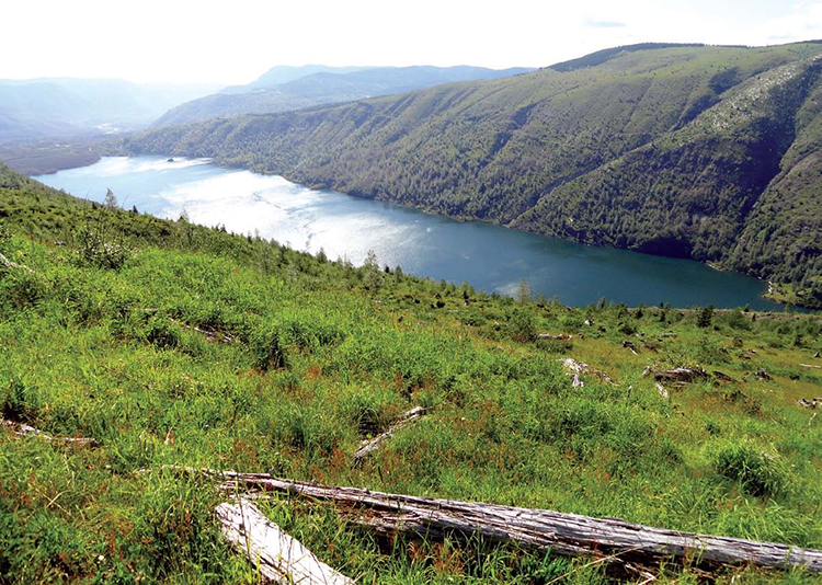 A sparkling Coldwater Lake from South Coldwater Ridge Mount Rainier from - photo 4