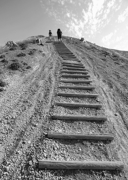 A sand ladder makes travel easier on steep pumiced slopes Acknowledgments - photo 24