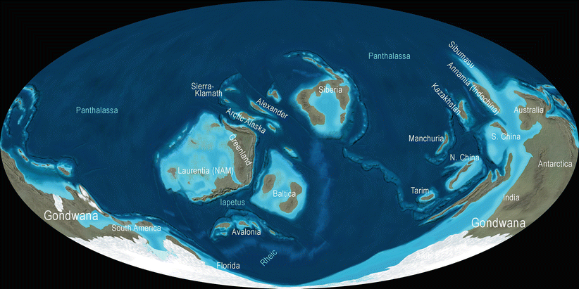 Fig 12 The Earths plates were scattered across broad oceans in the Ordovician - photo 2