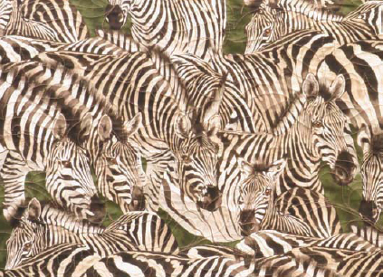 Fabric for Zebras Y ou will love this unusual method of designing and - photo 5