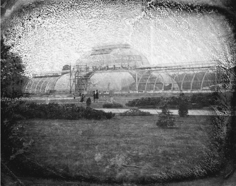 The earliest image of the exterior of the Palm House was made using the - photo 5