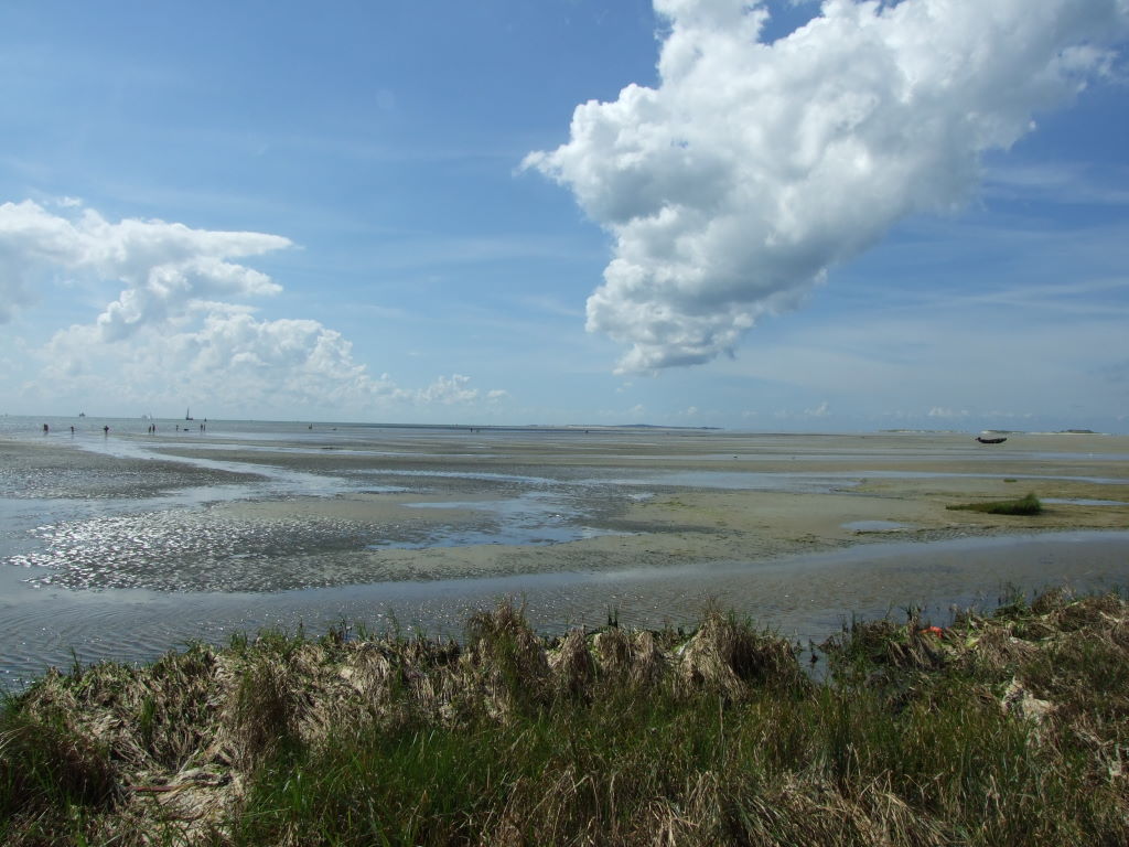 Waddenzee at Terschelling The Waddenzee is the area of sea between the north of - photo 3