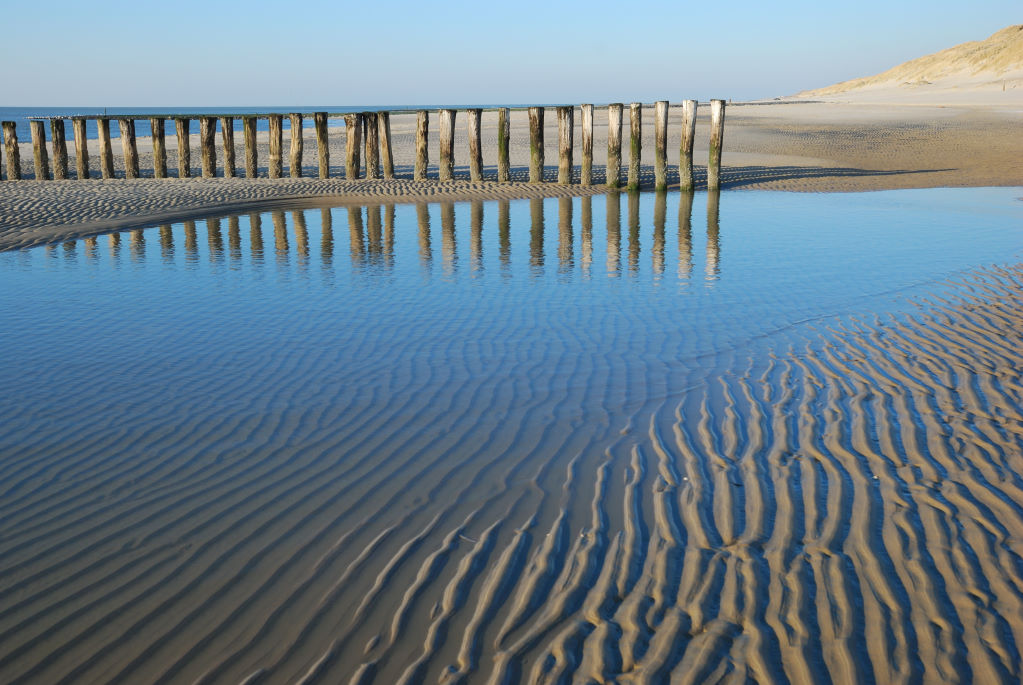 Bergen aan Zee The wooden poles run into the sea and are meant to break the - photo 4