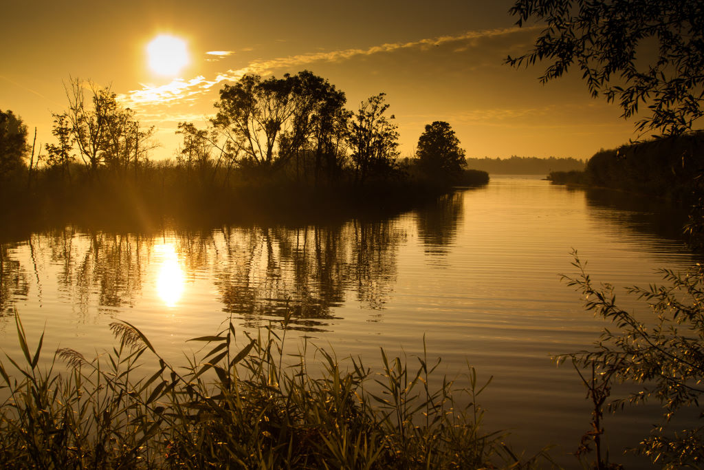 The Biesbosch a natural reserve in Zuid-Holland photo Patrick van Vugt - photo 14