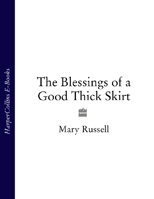 The blessings of a good thick skirt women travellers and their world - image 1