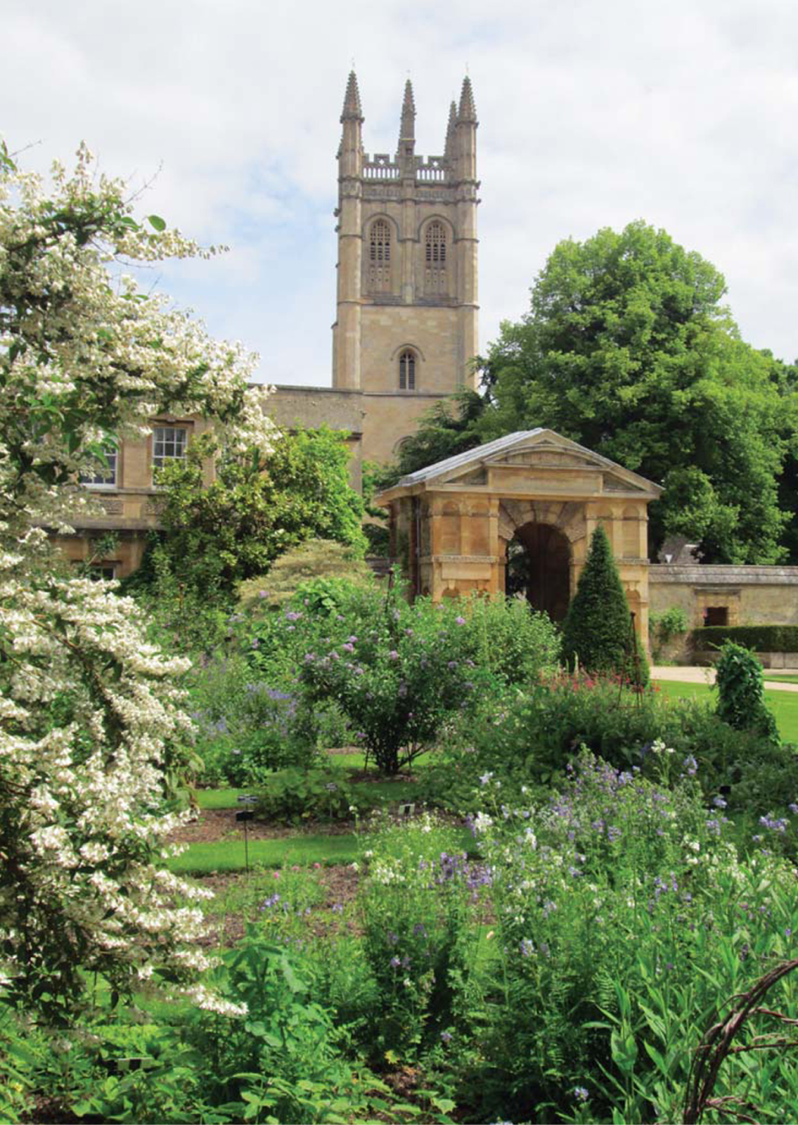The earliest botanic garden in Britain Oxford was founded in 1621 It is - photo 4