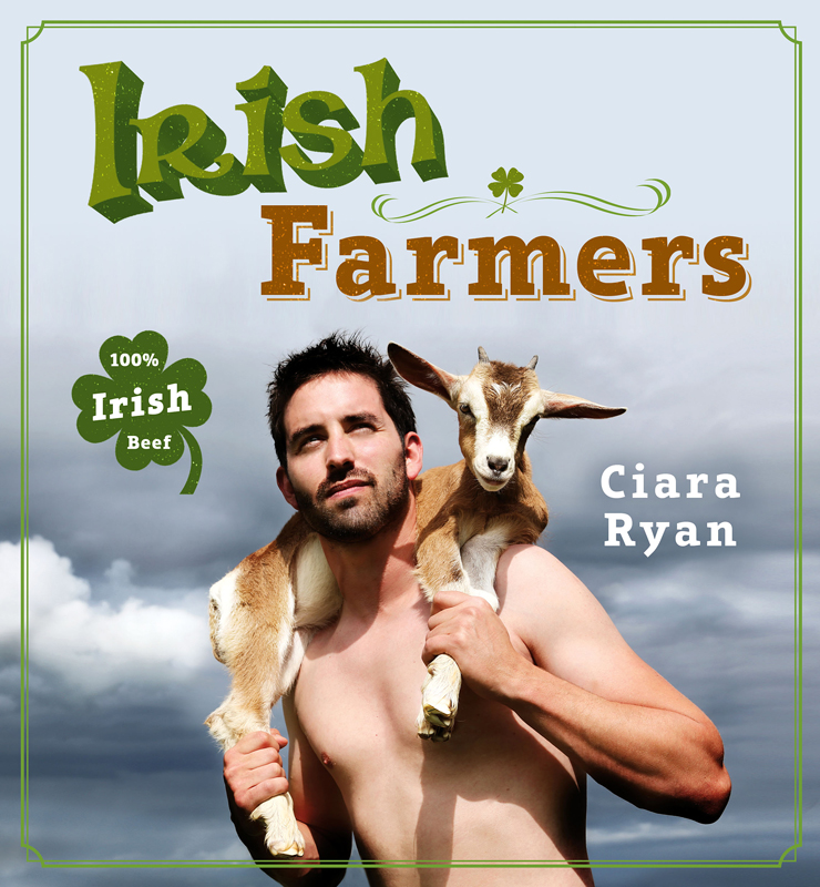 Irish Farmers Ciara Ryan The author and publisher have provided this e-book - photo 1