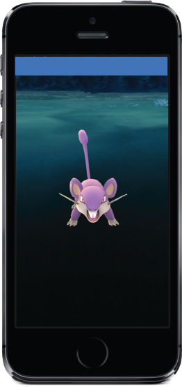 Rattata will be one of the many familiar faces you see in the game Before you - photo 3