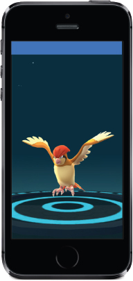 A brand new newly-evolved Pidgeotto Vaporeon trying to make a late - photo 4