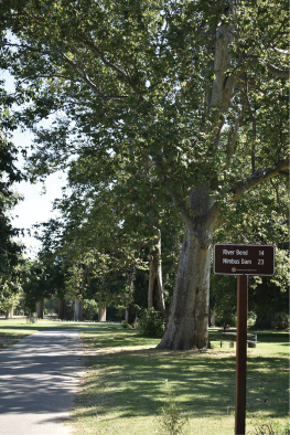 Salcedo-Chourré - Best hikes near Sacramento