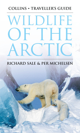 Sale - Wildlife of the Arctic