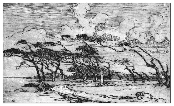 Windswept trees on a Louisiana barrier island circa 1900 PROLOGUE An - photo 6