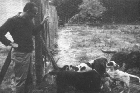 Chester with Mikey and pups Paris 1960 Photograph from the collection of - photo 11