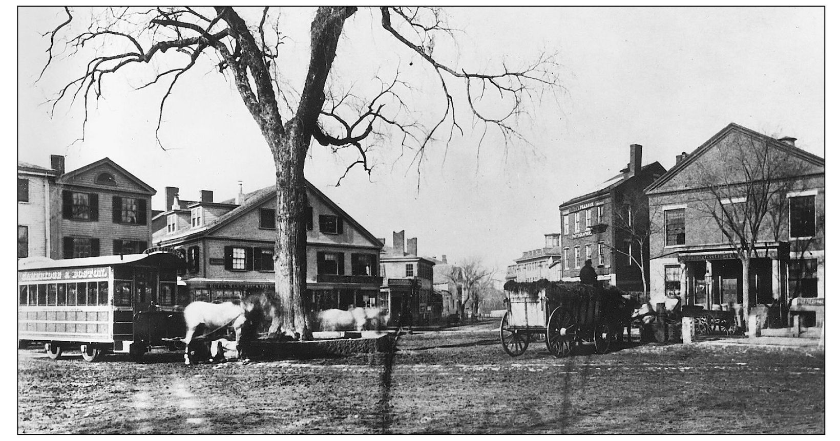 This bucolic view of Harvard Square taken in 1858 shows a horsecar waiting - photo 9