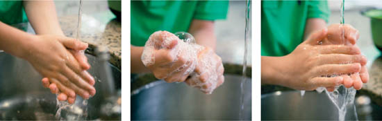 Wash Your Hands Before You Start Give them a good scrub before you do any - photo 4