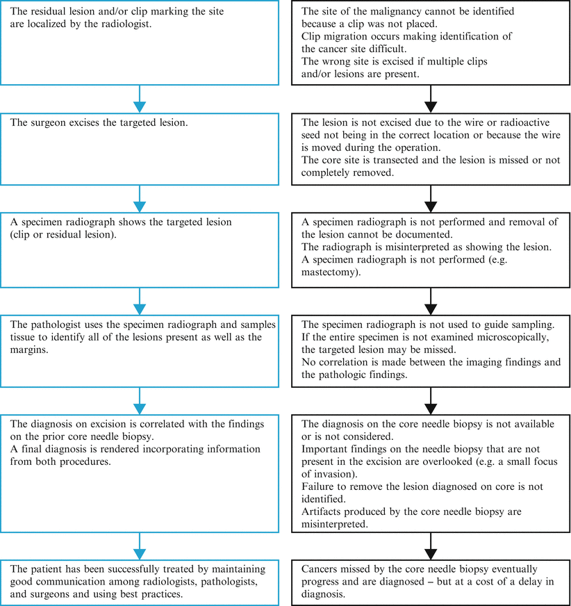 Fig 11 The numerous steps and multiple people involved in a core needle - photo 2