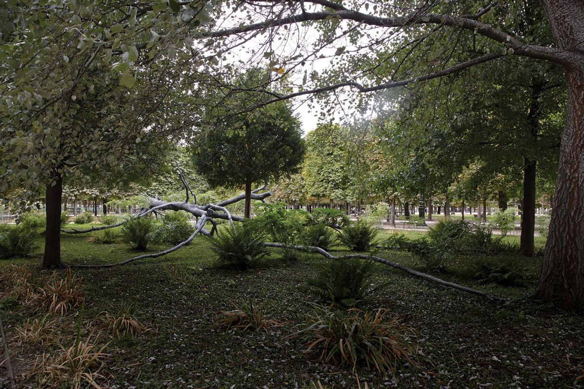 The Tree of Vowels by sculptor Giuseppe Penone Outside the Walls Paris - photo 8