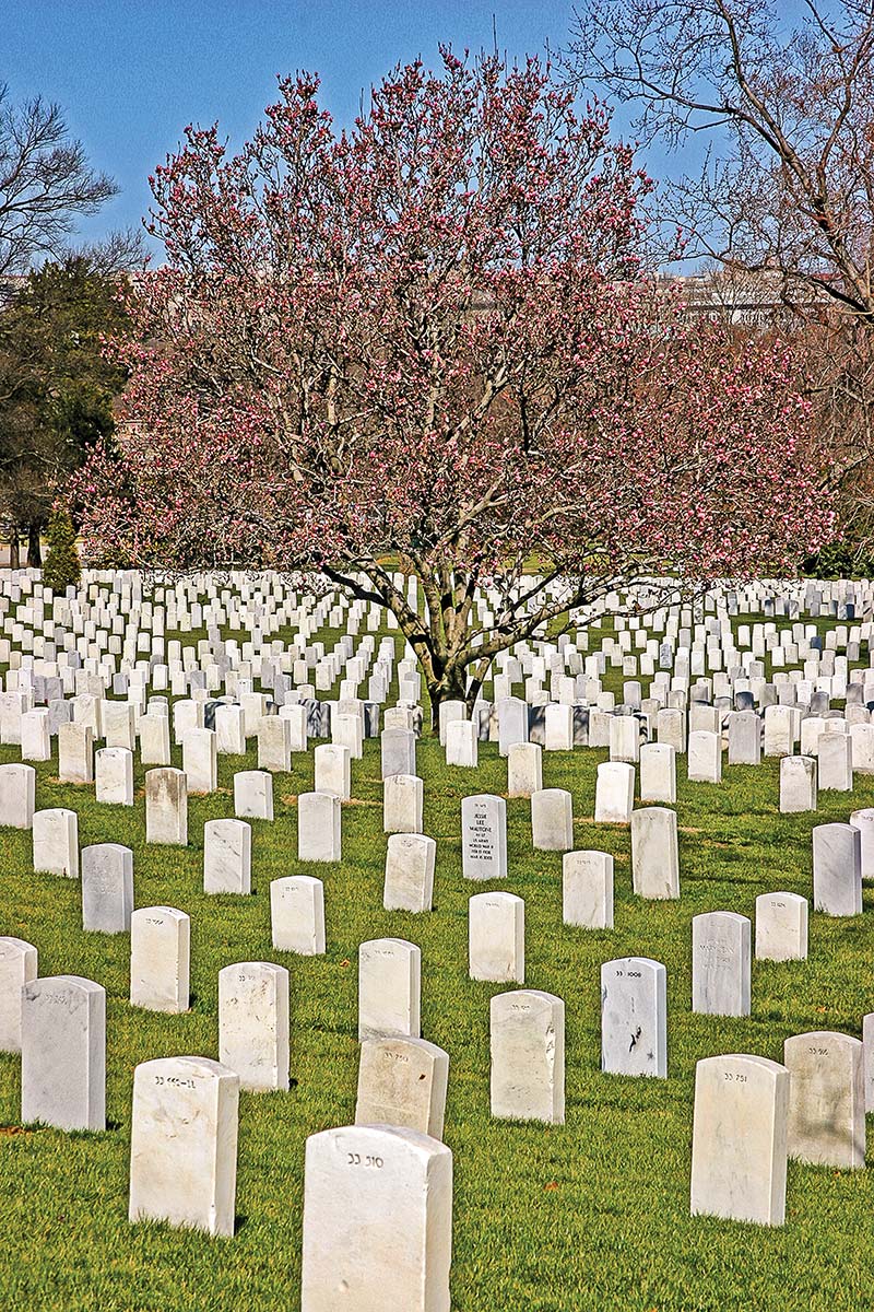 Arlington National Cemetery Pay your respects at the Tomb of the Unknown - photo 17