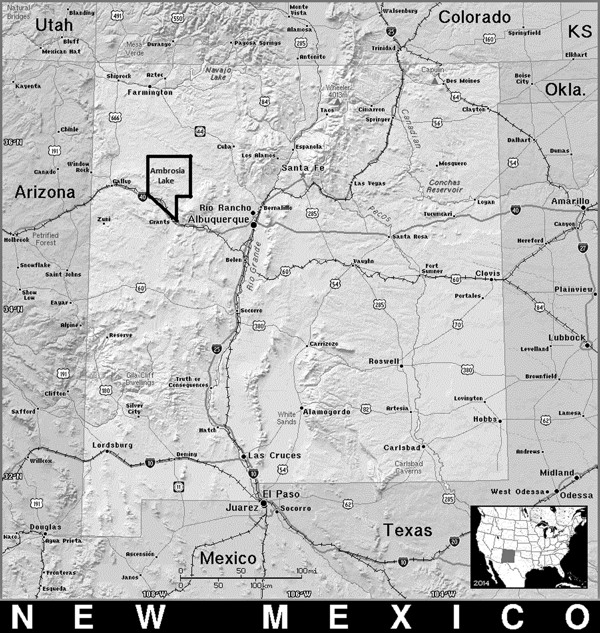 New Mexico The Ambrosia Lake uranium mining district is shown in the upper - photo 4