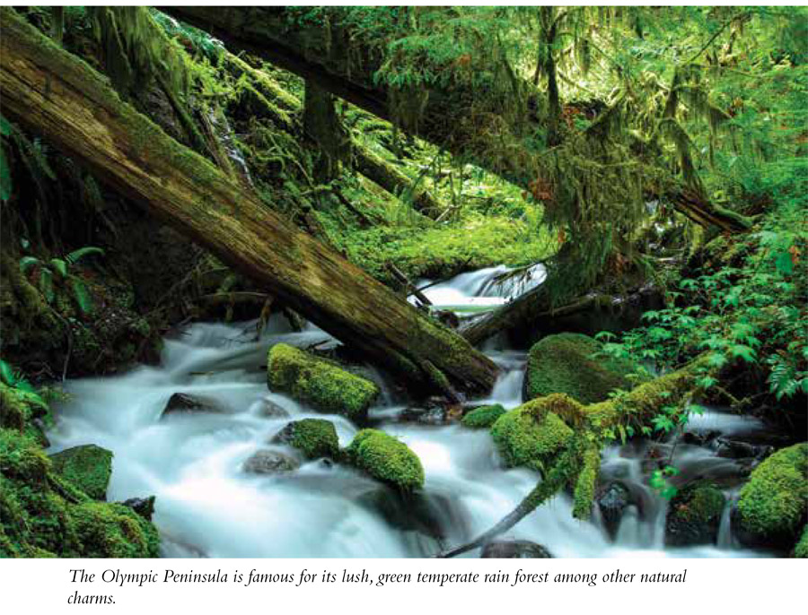 Despite the difficult terrain humans may have inhabited the Olympic Peninsula - photo 2