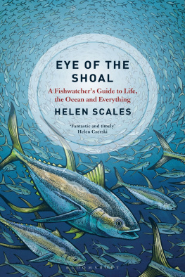 Scales - EYE OF THE SHOAL: a fishwatchers guide to life, the oceans and everything