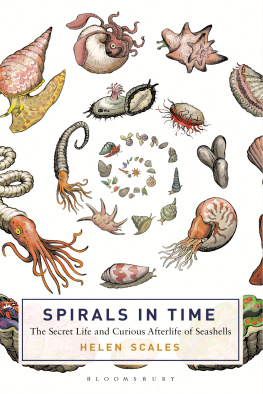 Scales - Spirals in Time The Secret Life and Curious Afterlife of Seashells