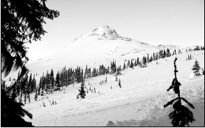 The alpine below Mount Renshaw where Belle and Sundance were spotted by local - photo 2