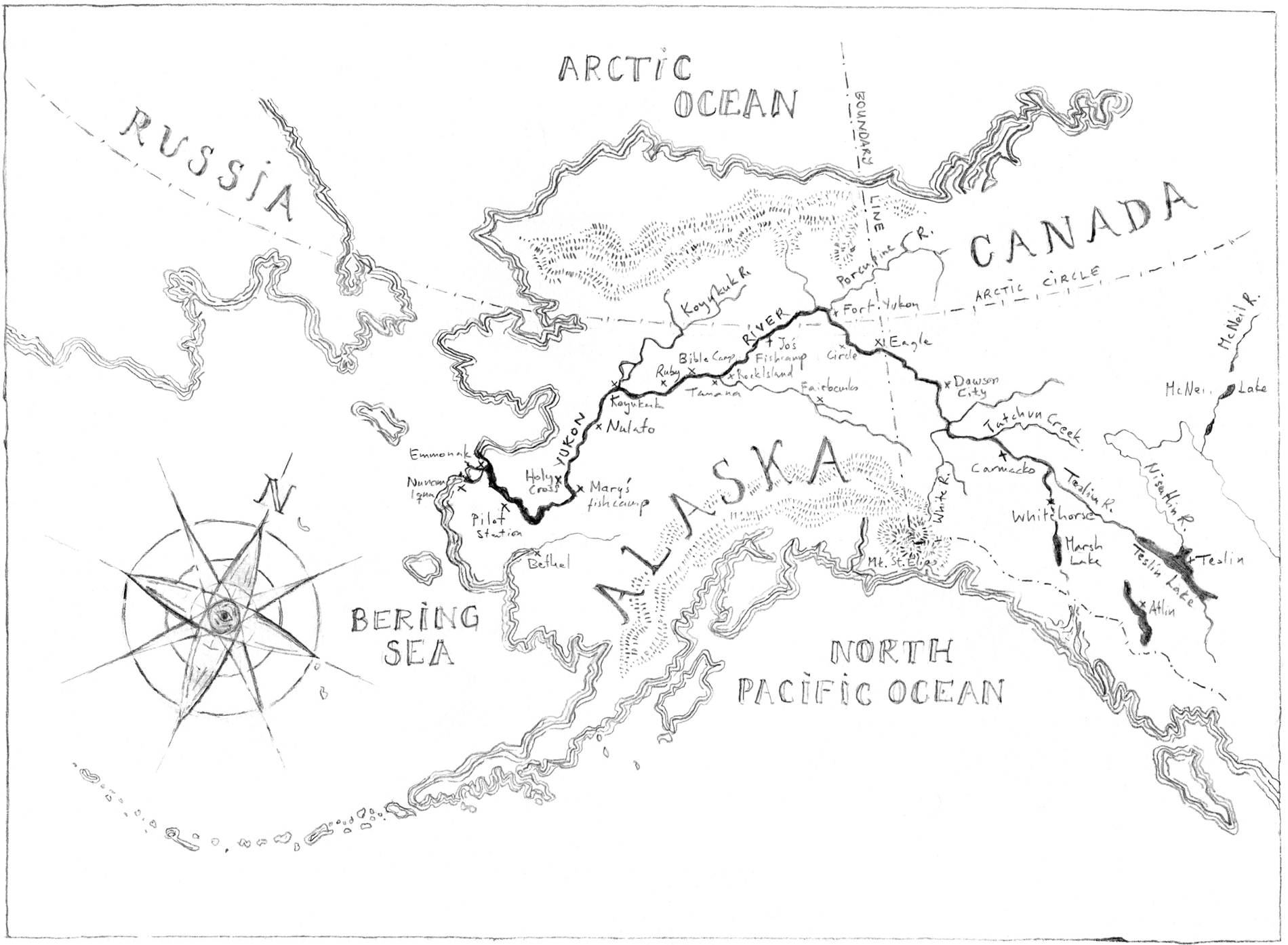 Authors Note There are five species of salmon found in Alaska and Western - photo 4