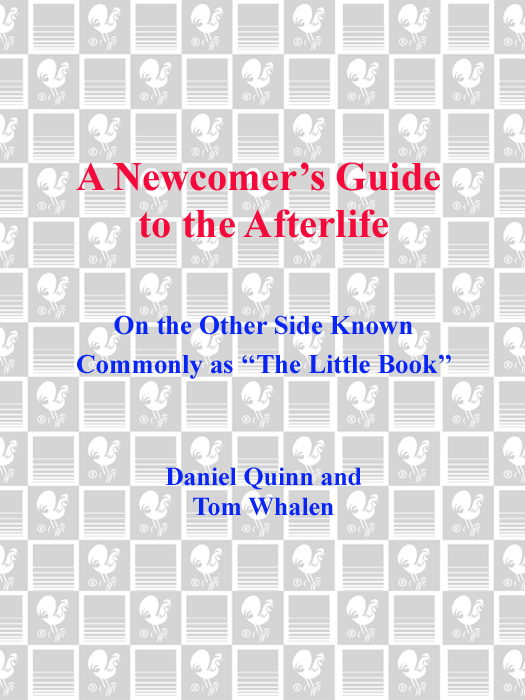 Praise for A Newcomers Guide to the Afterlife Startlingly original and - photo 1