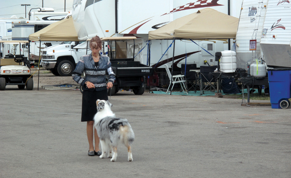 The parking lot outside a dog show is a temporary city of RVs housing handlers - photo 13