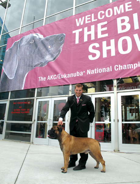 Heathers husband and handling partner Kevin Bednar with Nacho the bullmastiff - photo 16