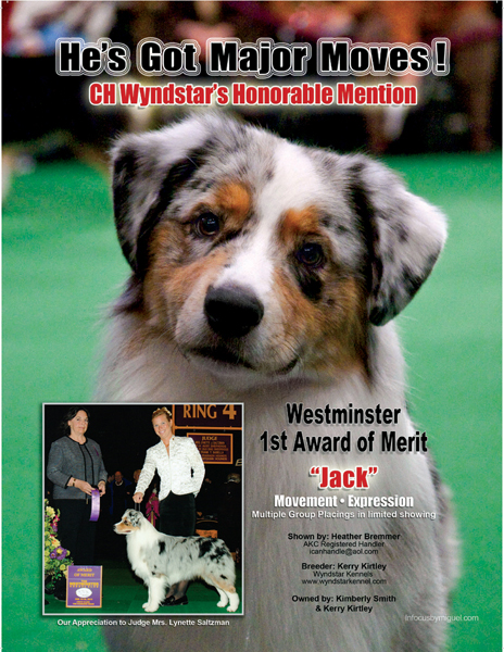 Jacks first-ever ad which appeared in The Canine Chronicle a month after his - photo 10