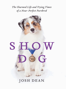 Westminster Kennel Club. Dog Show. - Show dog: the pampered life and trying times of a near-perfect purebred