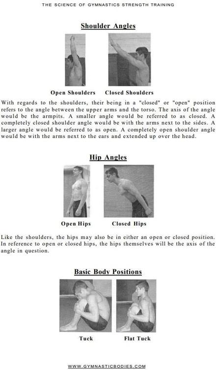 The Science of Gymnastics How To Get an Olympic Gymnasts Body - photo 14