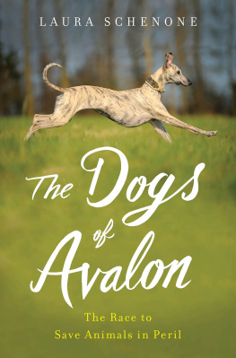 Schenone Laura - The dogs of avalon: the race to save animals in peril